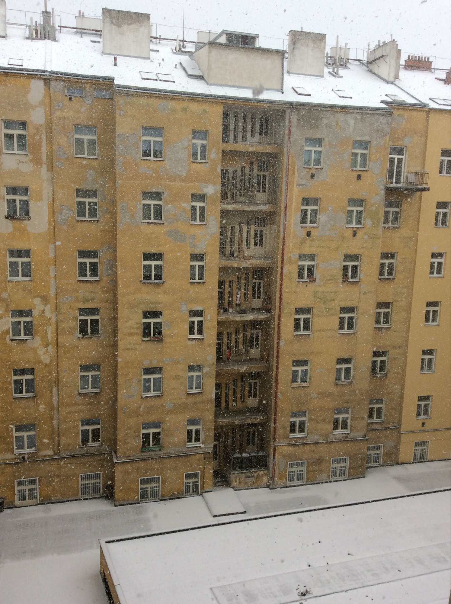 How Prague Made Me a Free Tour Guide